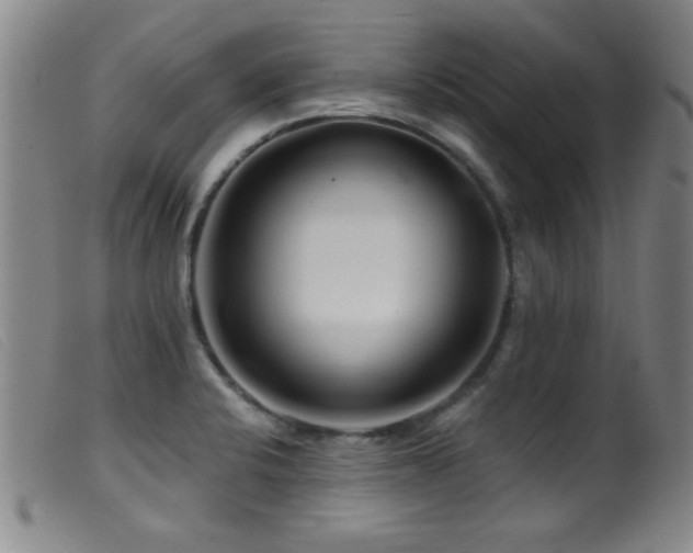 X0000099541424200805161417