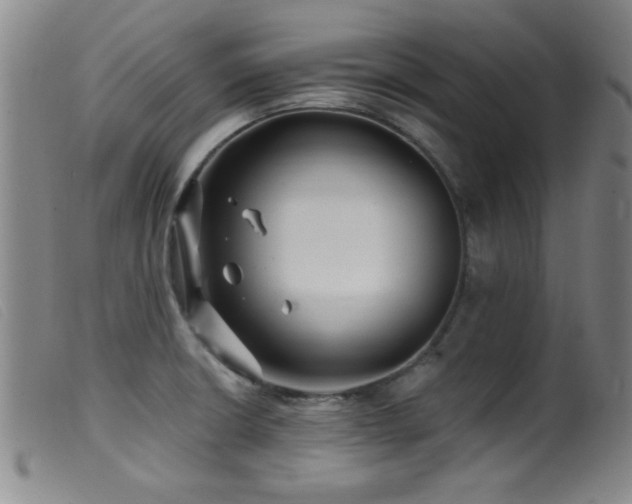 X0000099541426200805161417