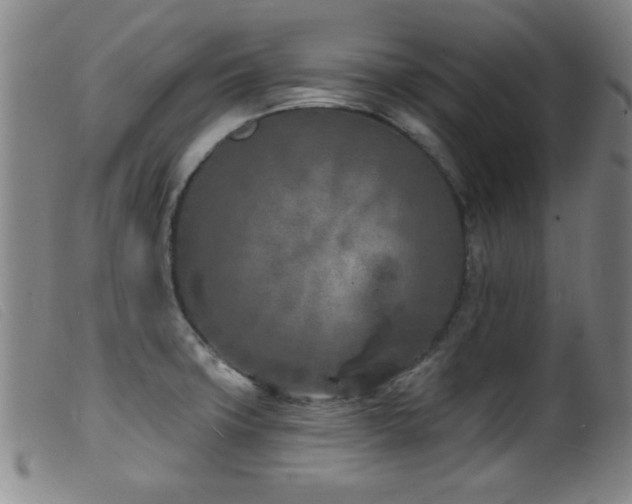 X0000099541427200805161417