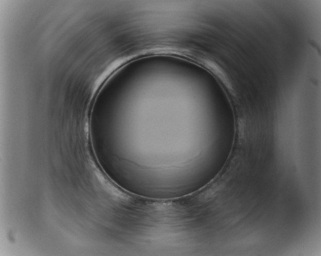 X0000099541428200805161417