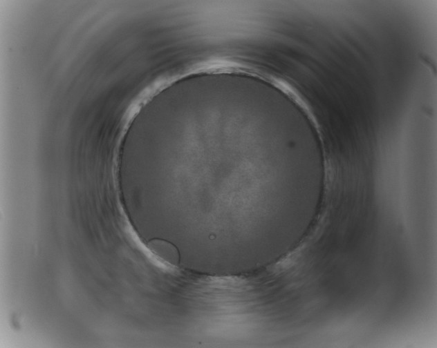 X0000099541429200805161417