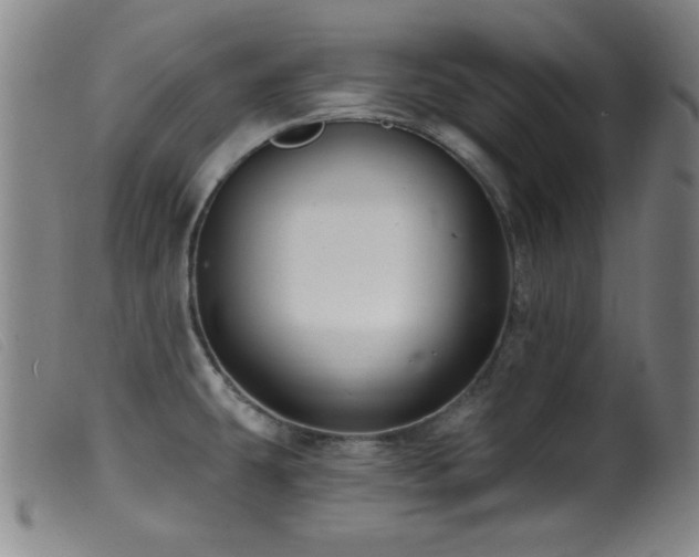 X0000099541431200805161417