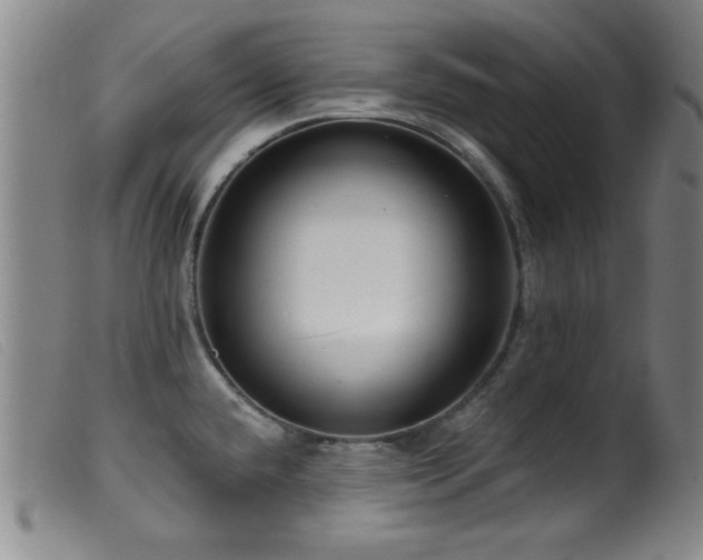 X0000099541432200805161417