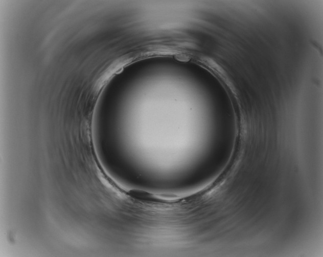 X0000099541433200805161417