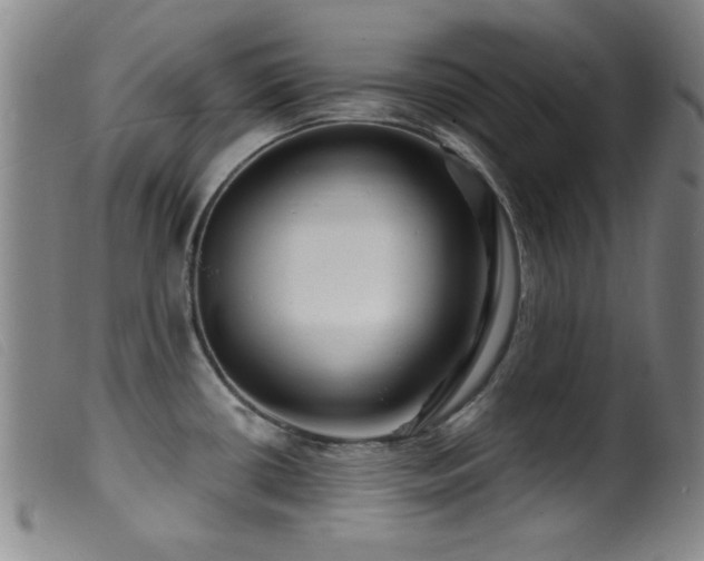 X0000099541434200805161417