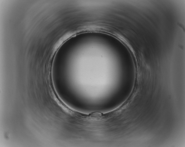 X0000099541437200805161417