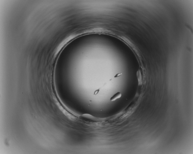X0000099541438200805161417