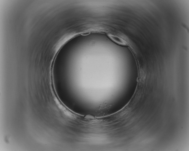 X0000099541439200805161417