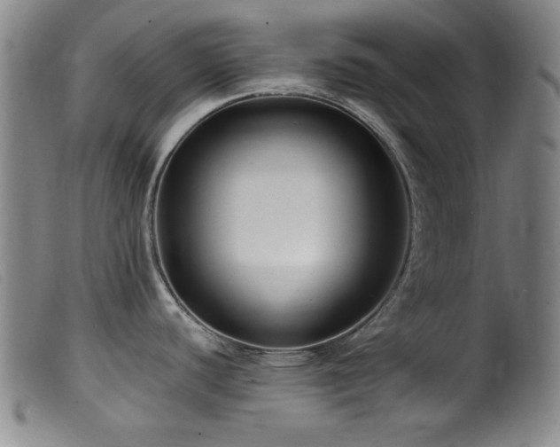 X0000099541440200805161417