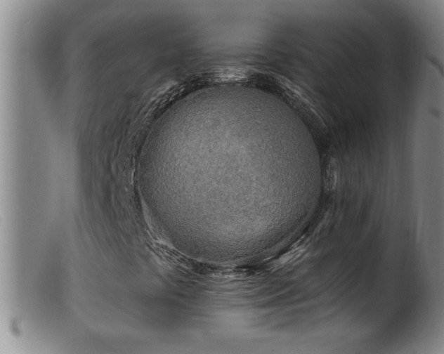 X0000099541441200805161416