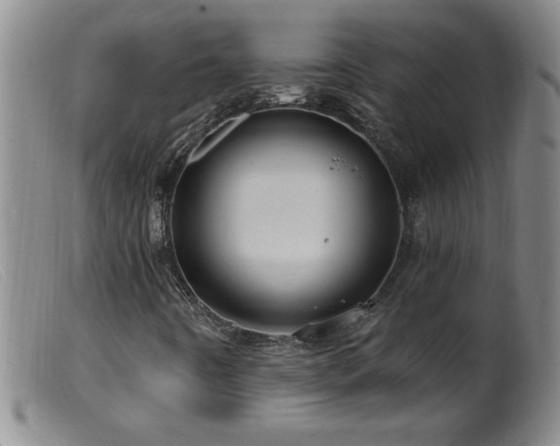 X0000099541442200805161416