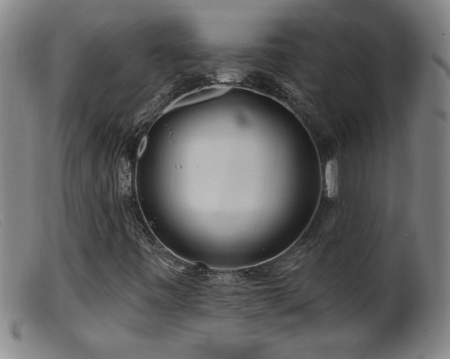 X0000099541443200805161416