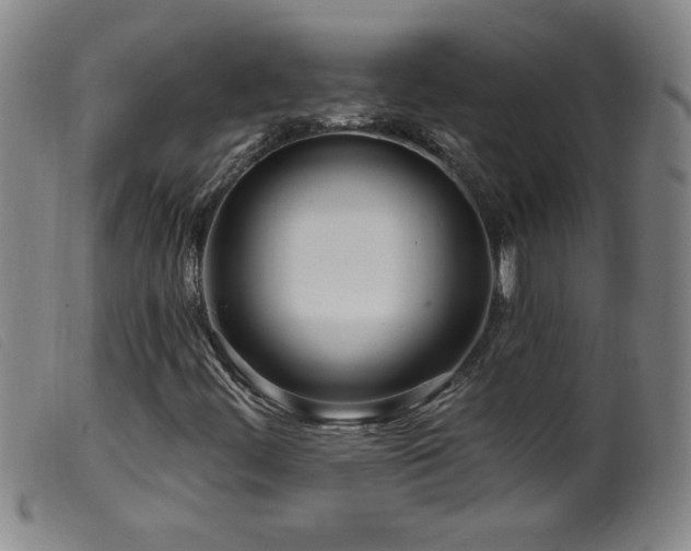 X0000099541444200805161416