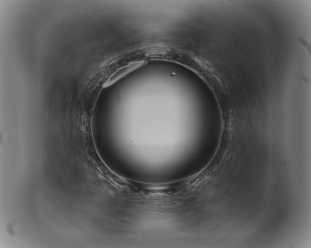 X0000099541445200805161416
