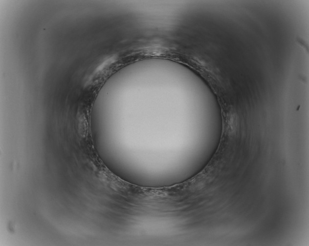 X0000099541446200805161416