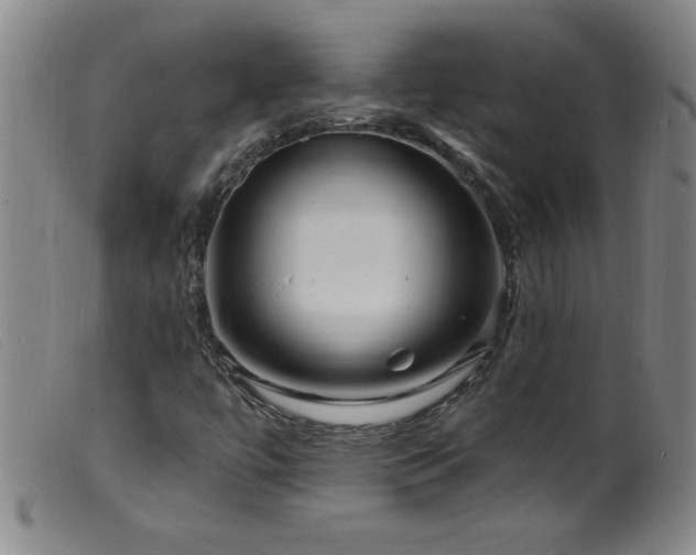 X0000099541447200805161416