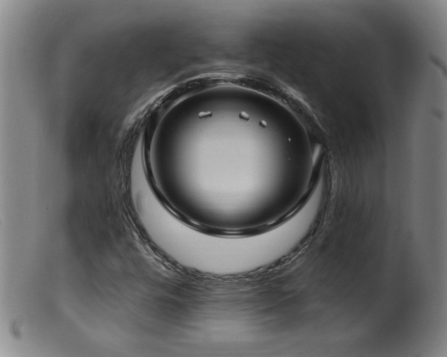 X0000099541448200805161416