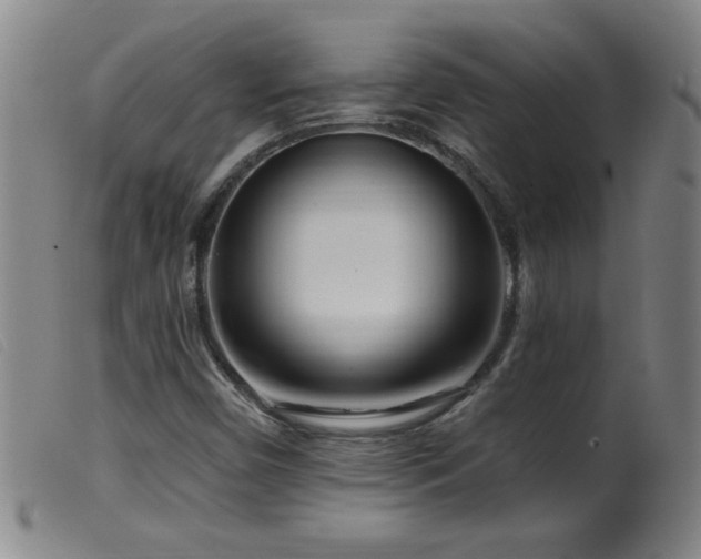 X0000099541450200805161416