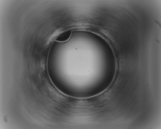 X0000099541451200805161416