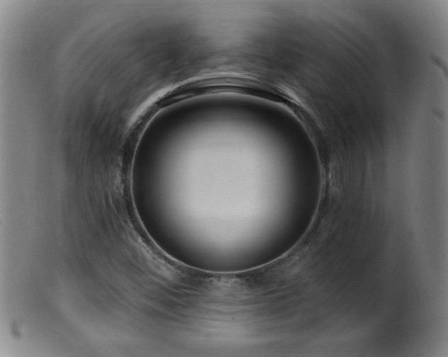 X0000099541452200805161416