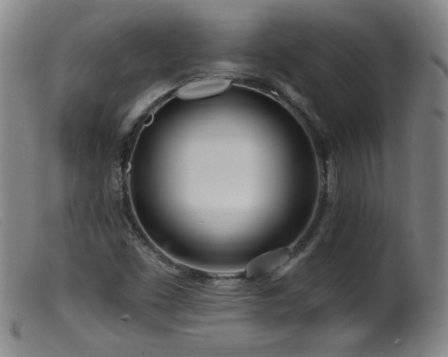 X0000099541453200805161416