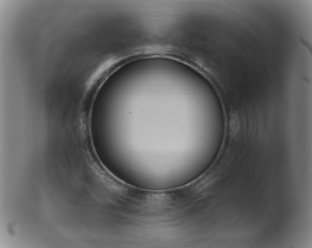 X0000099541454200805161416