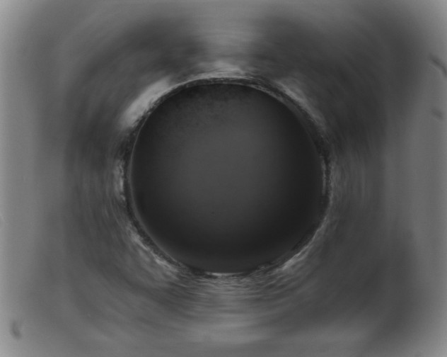X0000099541455200805161416