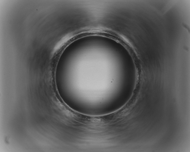 X0000099541456200805161416