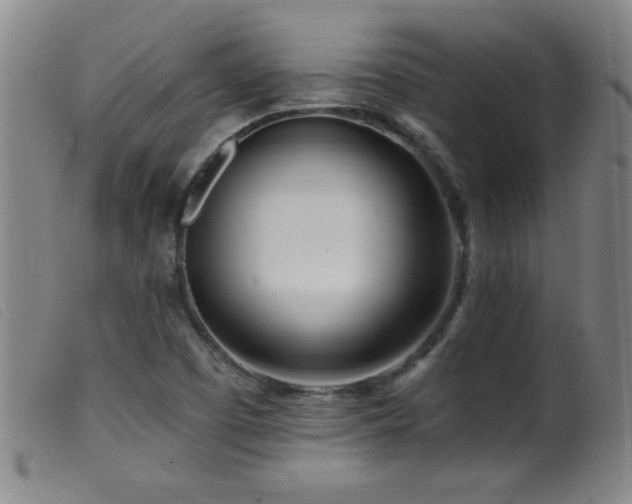 X0000099541457200805161416