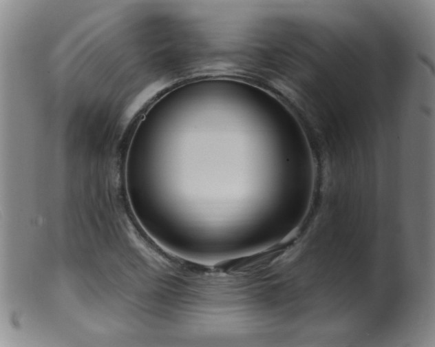 X0000099541458200805161416