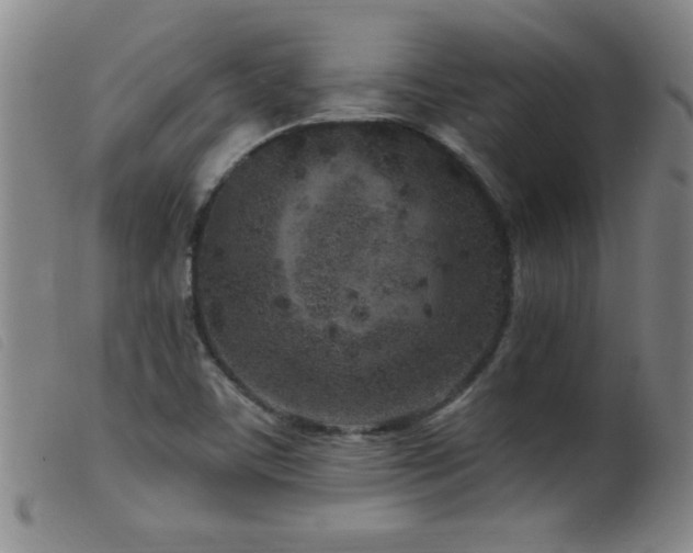 X0000099541459200805161416