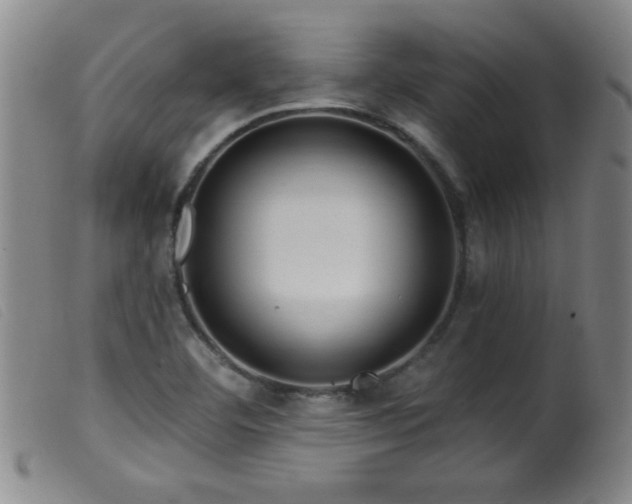 X0000099541460200805161416