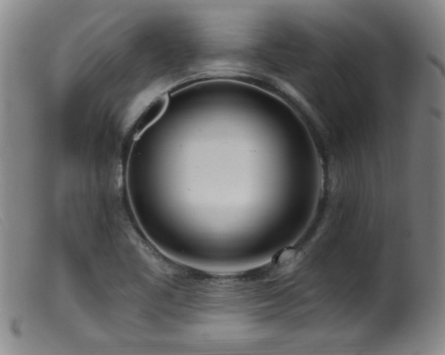 X0000099541461200805161416
