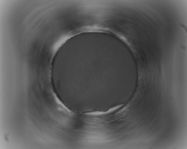 X0000099541463200805161416