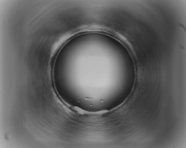 X0000099541464200805161416