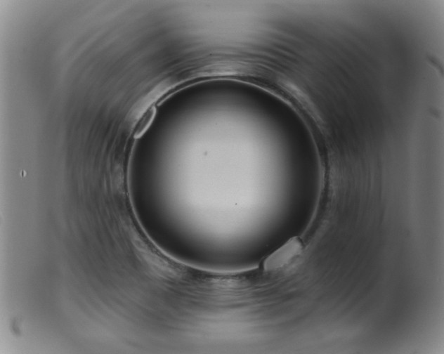X0000099541465200805161416