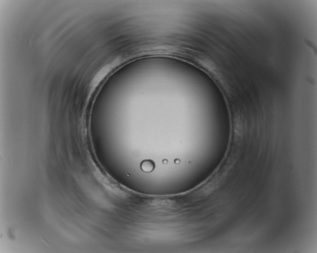 X0000099541466200805161416