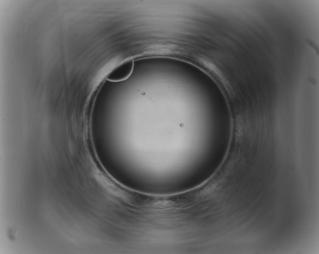 X0000099541467200805161416