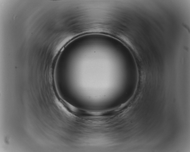 X0000099541468200805161416