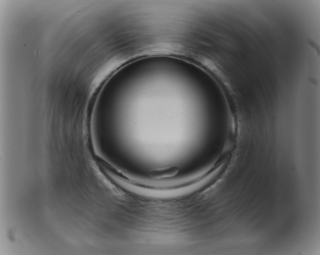 X0000099541469200805161416