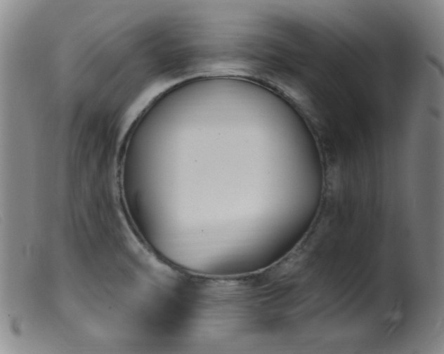 X0000099541470200805161416