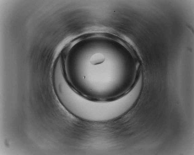 X0000099541472200805161416