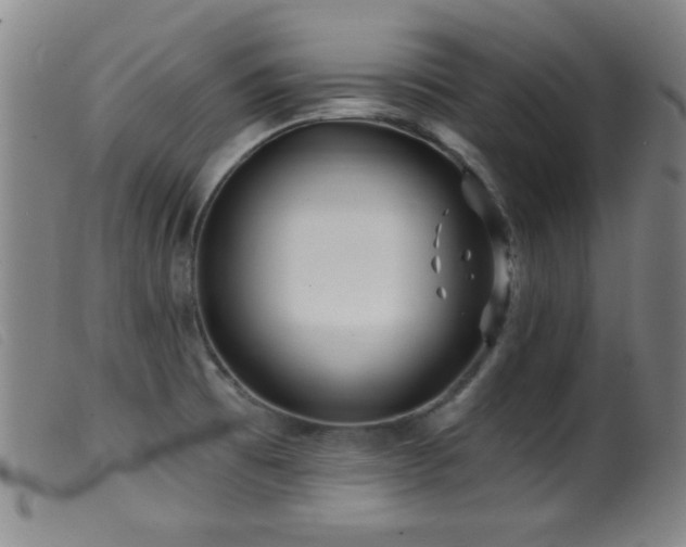 X0000099541473200805161416