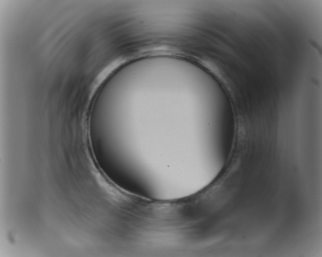 X0000099541474200805161416