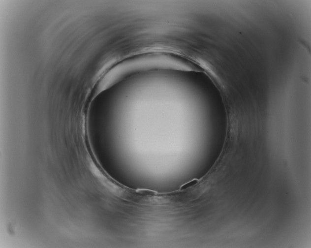 X0000099541476200805161416