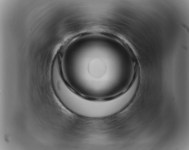 X0000099541477200805161416