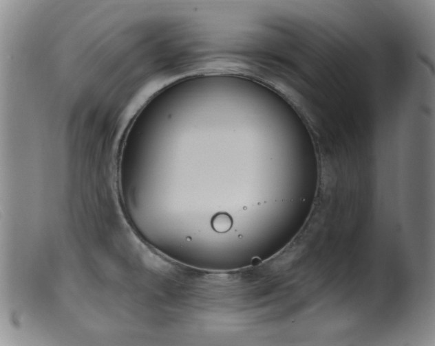 X0000099541478200805161416