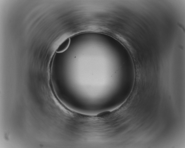 X0000099541479200805161416