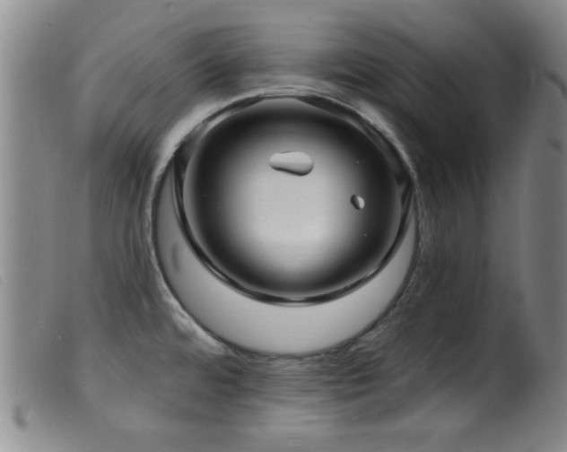 X0000099541480200805161416