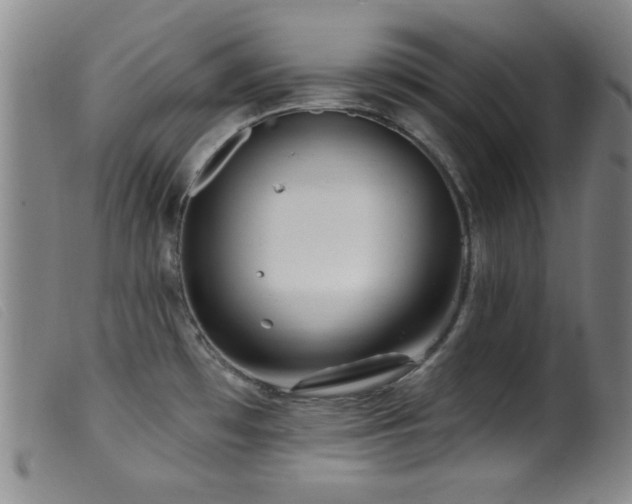 X0000099541481200805161416